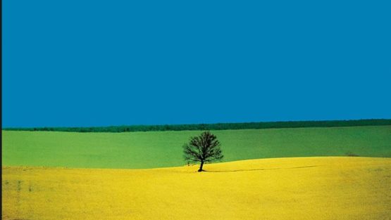 martedì 13 marzo ’18