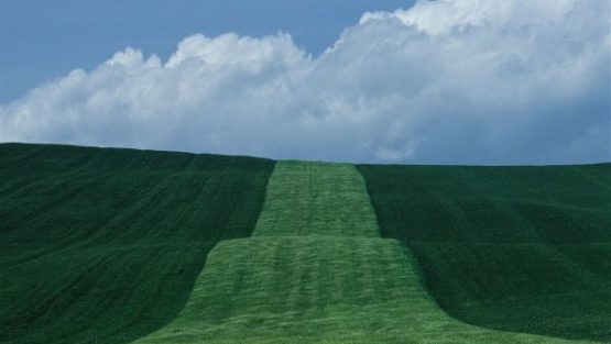 mercoledì 14 marzo ’18