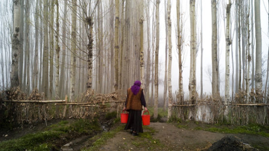 venerdì 22 giugno ’18