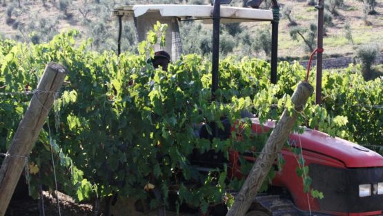 venerdì 5 ottobre ’18