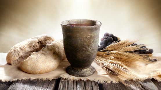 domenica 11 novembre ’18