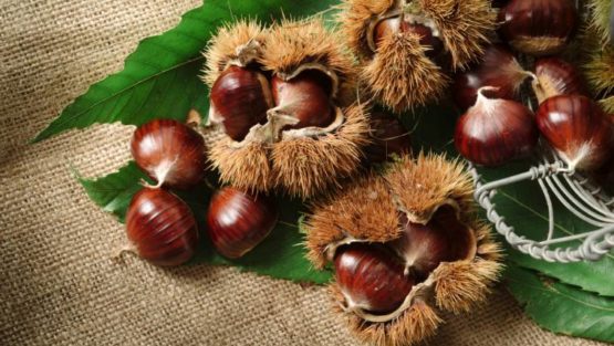 sabato 3 novembre ’18