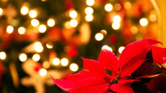 lunedì 24 dicembre ’18