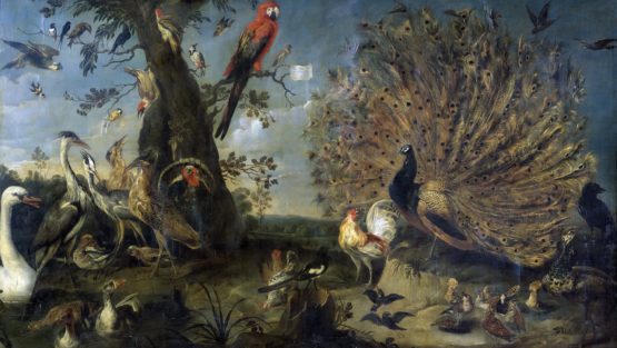 sabato 13 aprile ’19