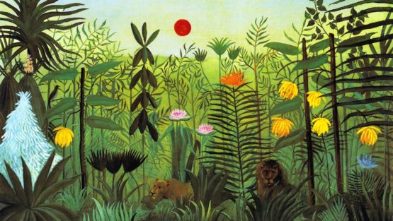 mercoledì 29 maggio ’19