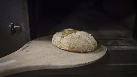 domenica 8 settembre ’19