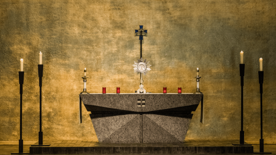 domenica 24 novembre ’19