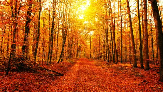 lunedì 25 novembre ’19