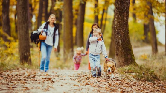 giovedì 28 novembre ’19