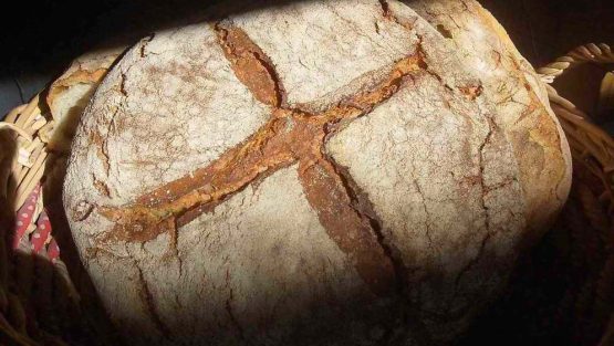 domenica 5 gennaio ’20