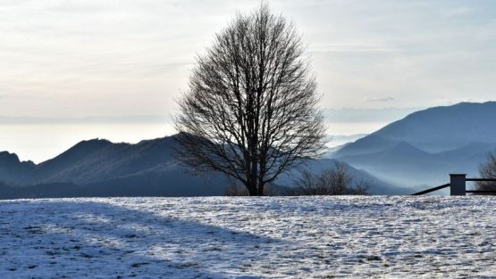 martedì 7 gennaio ’20