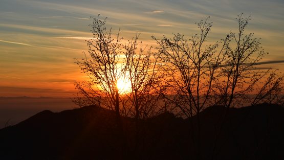 mercoledì 8 gennaio ’20