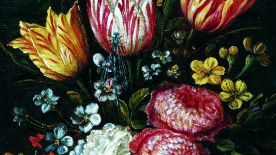 mercoledì 29 luglio ’20