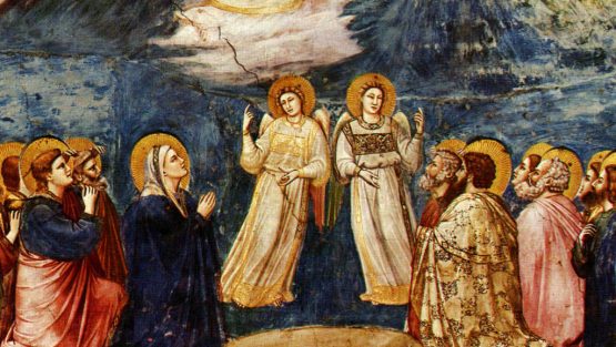 domenica 24 maggio ’20