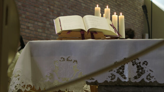 domenica 8 novembre ’20