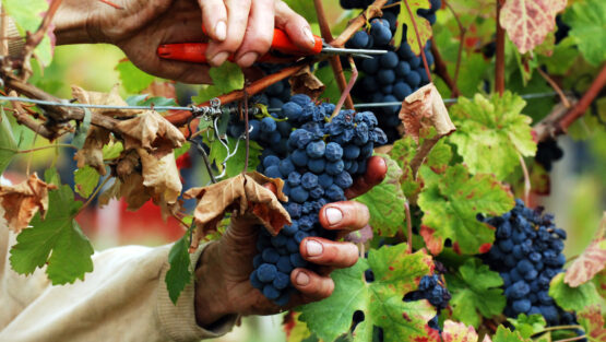 lunedì 5 ottobre ’20