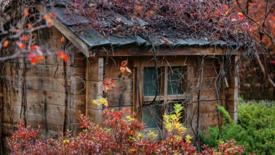 giovedì 5 novembre ’20