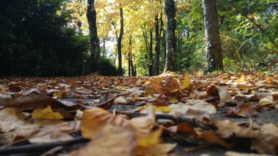 martedì 3 novembre ’20