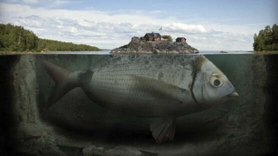 lunedì 1 febbraio ’21