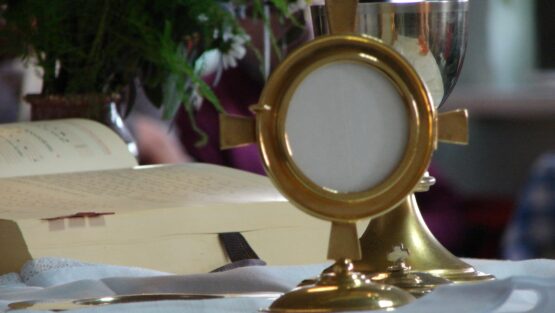 domenica 17 gennaio ’21