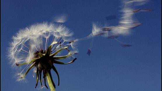 martedì 13 aprile ’21