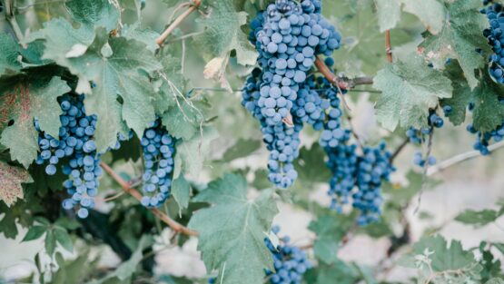 martedì 4 maggio ’21