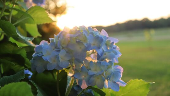 venerdì 4 giugno ’21