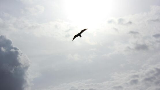 mercoledì 9 giugno ’21