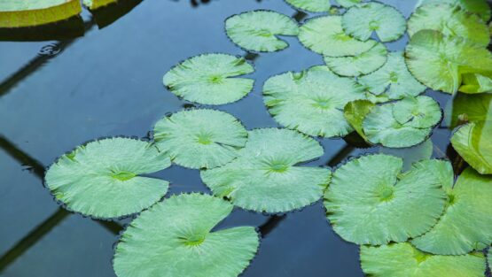 mercoledì 11 agosto ’21