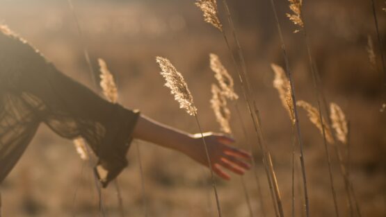 venerdì 24 settembre ’21