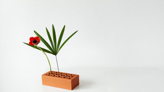 sabato 18 settembre ’21