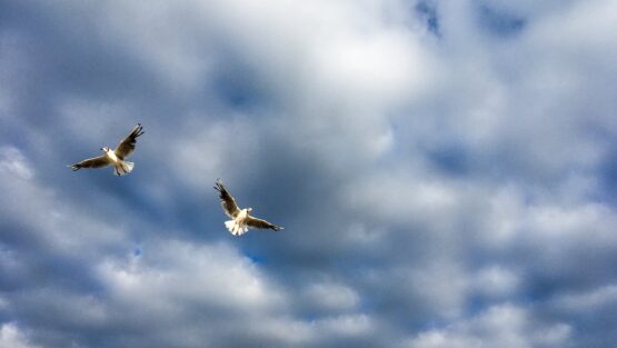 venerdì 15 ottobre ’21