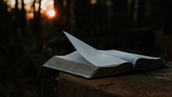 sabato 23 ottobre ’21