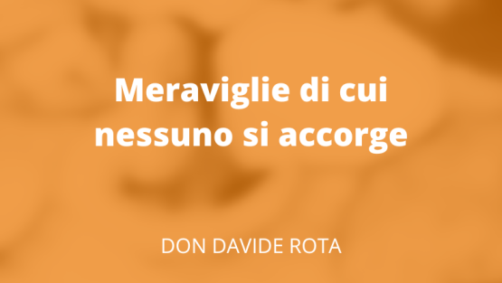 Meraviglie di cui nessuno si accorge
